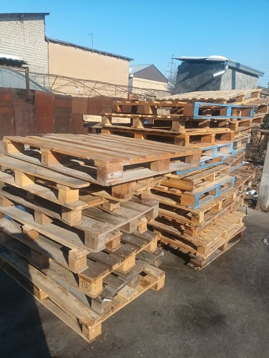 Paddon sotiladi yevro aralashiga 40.000 som