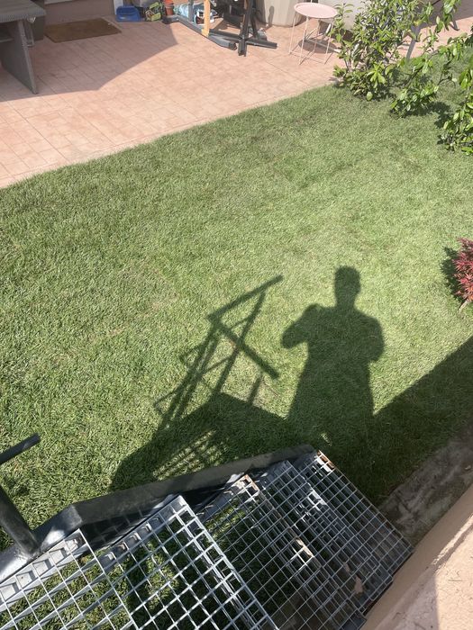 Rulouri Gazon sau insamintare servicii Profii , 50 lei mp la gata !!!