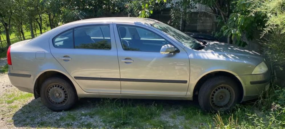 Skoda Octavia 2, motor 1.9 tdi