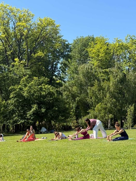 Cursuri yoga (clase de grup / private)