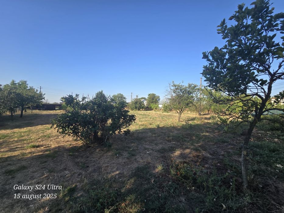 Casă de vânzare în Cateasca