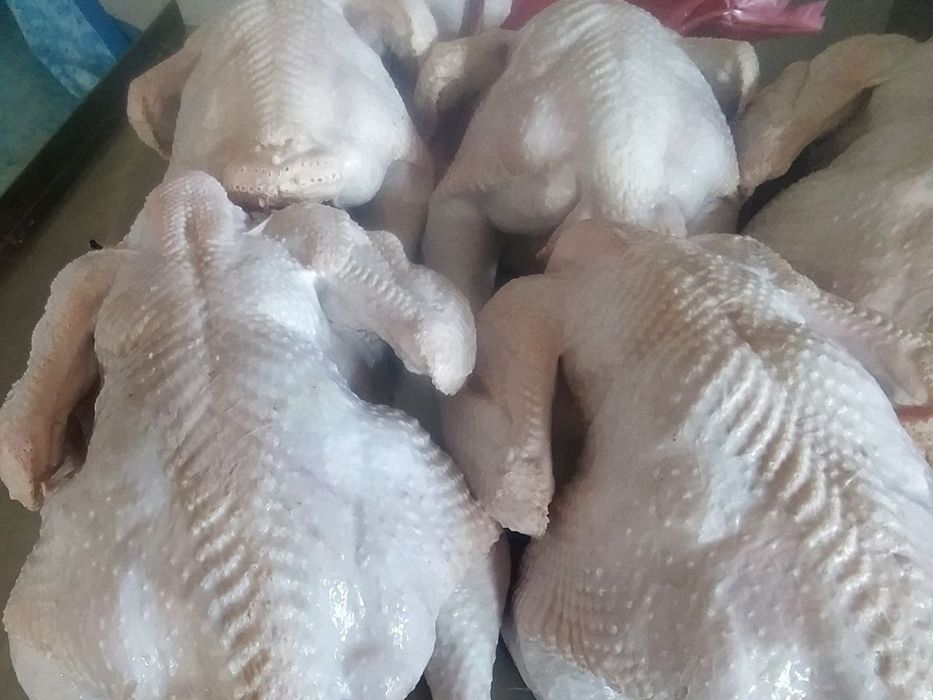 Kurka goʻshti Halol sifatli