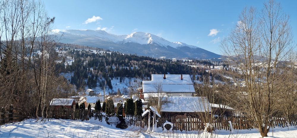 Teren 10.000 mp Borșa – investiție turistică, cabană, căsuțe vacanță