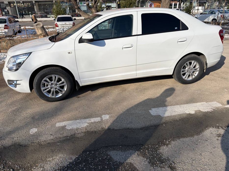 Cobalt 4 paz 2024 tozza