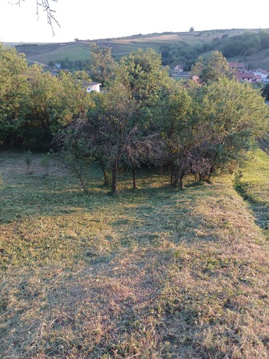 casa de vanzare Sorostin teren generos