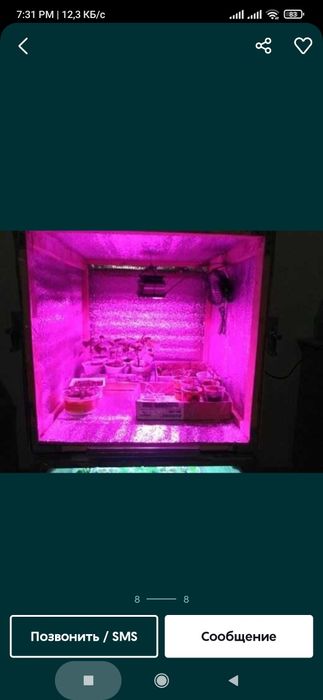 Для растений цветов и рассады фито лампа для светильник прожектор