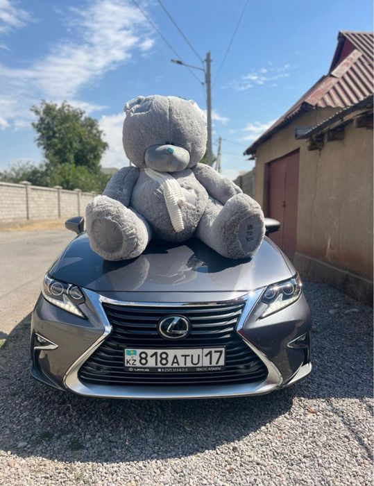 мишки мишка мишки мишка