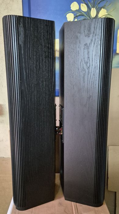 Тонколони "Infinity kappa 7.2i series ll"