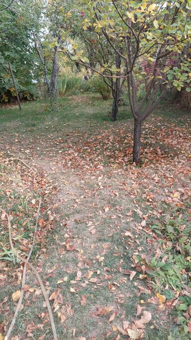 продам дачу каскелен