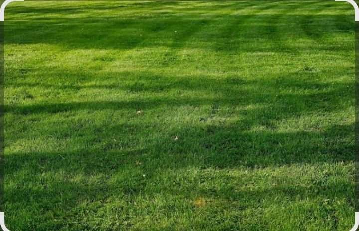 Садовник агроном