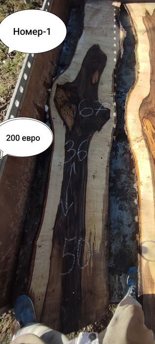 Големи янове орех