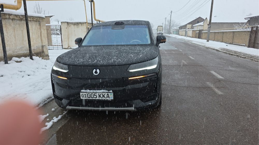 Denza N9 Flagship full