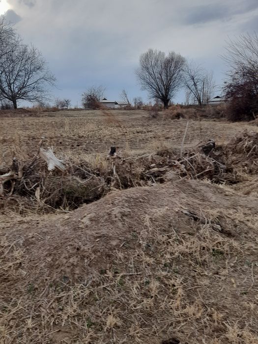 Утин сотилади(терак)