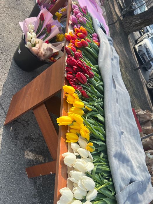 Тюльпаны на 8 марта