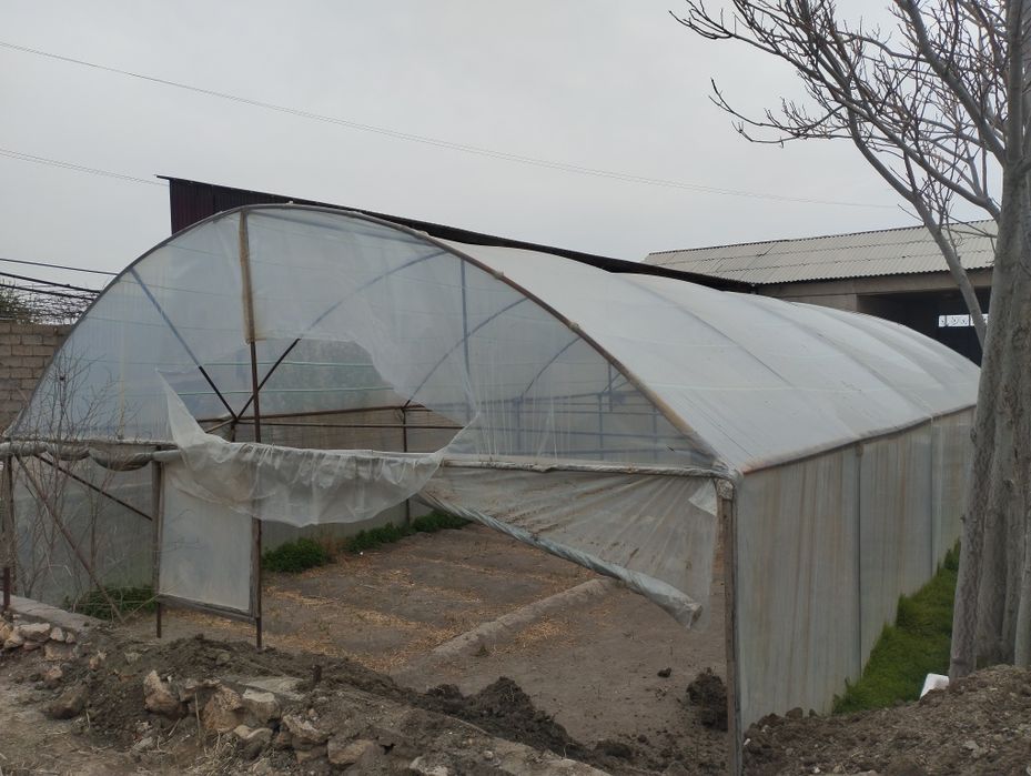 Теплица Парник. Иссикхона