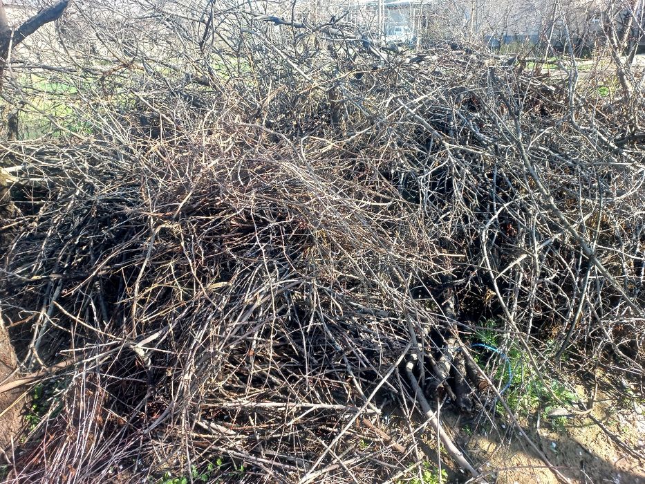 O'tin sotiladi Утин сотилади