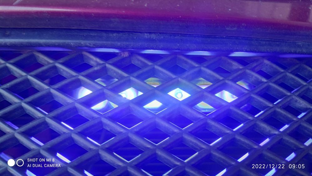 Serena migalka sotiladi