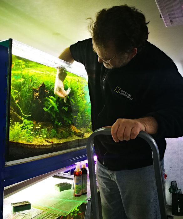 Обслуживания акввариумов