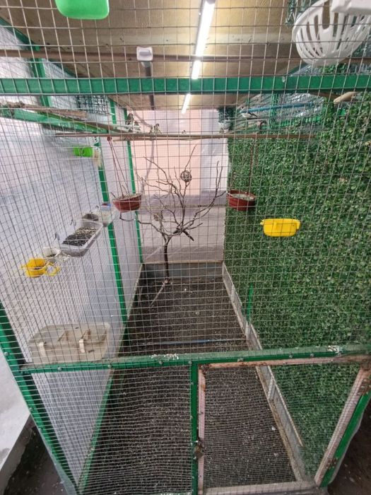 Продается вольер для птиц