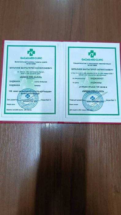 Лечение пиявками