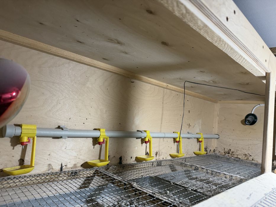 Толық автоматтандырылған брудер сатылады