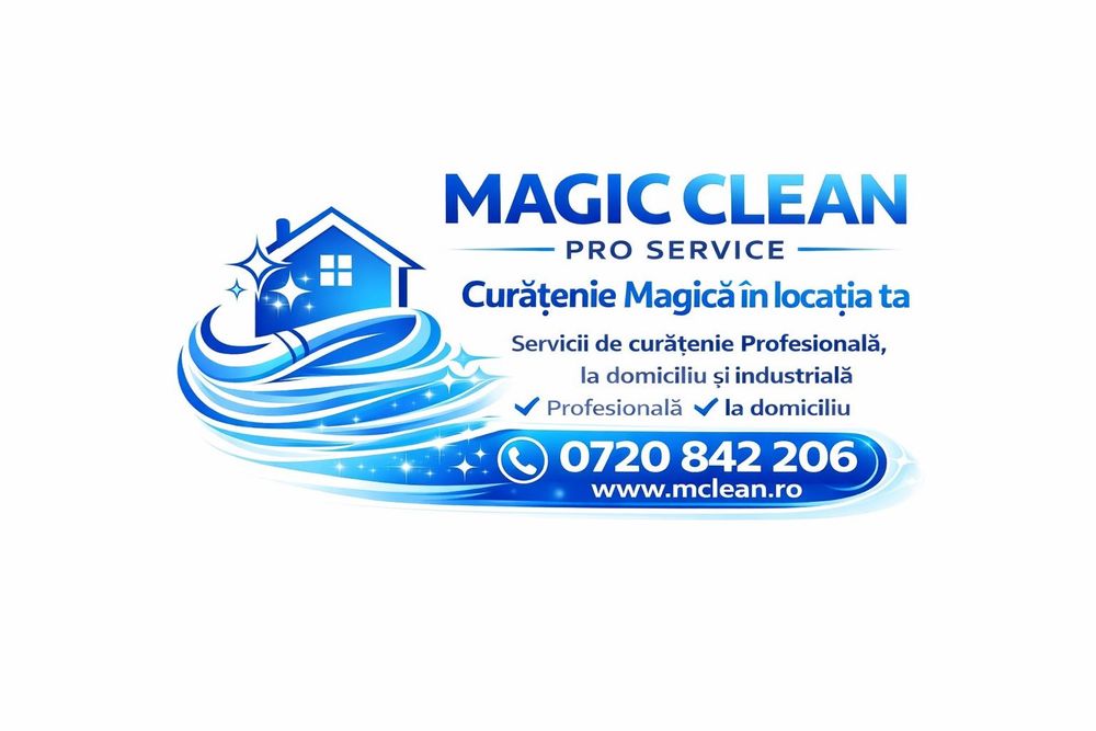 Curățenie profesionala/apartamente/case/cabinete medicale/pavele/etc