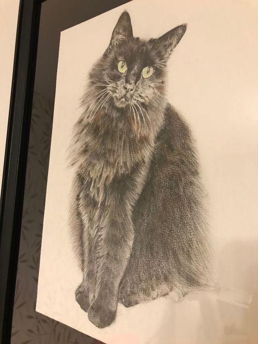 Картина с размери 32/43см акварелни моливи