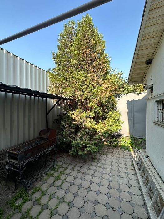 Мангалы, коктальницы