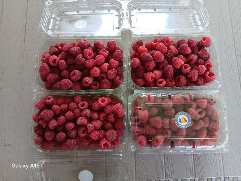 Zmeura proaspata si aromata