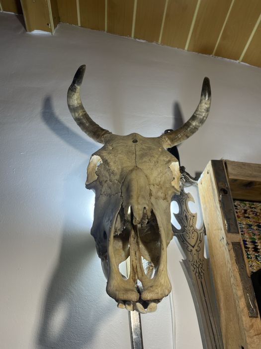 aplică perete bec led .