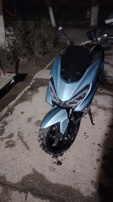 Tiger skuter sotiladi