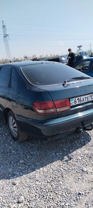 Таиота карина Е. 1993