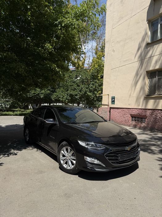 Malibu 2 2022 kraska toza