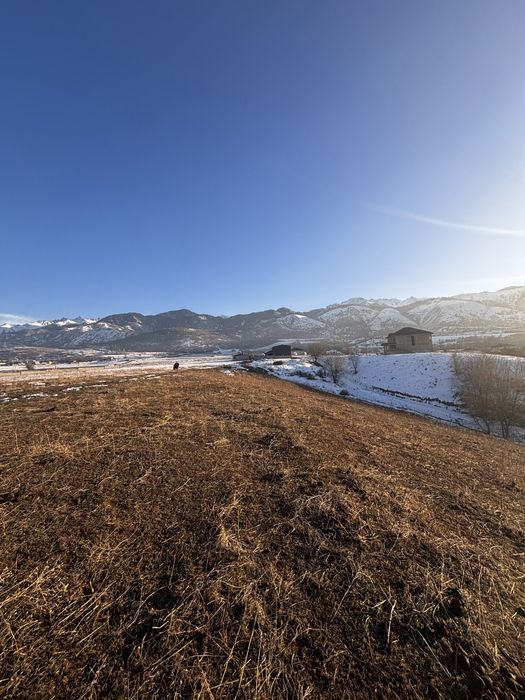 Участок 100 соток