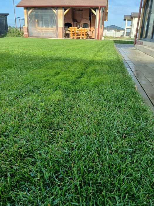 Servicii pentru gradina ta