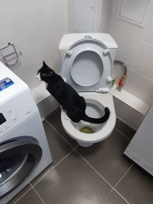 Отдам в самые добрые руки на свете!