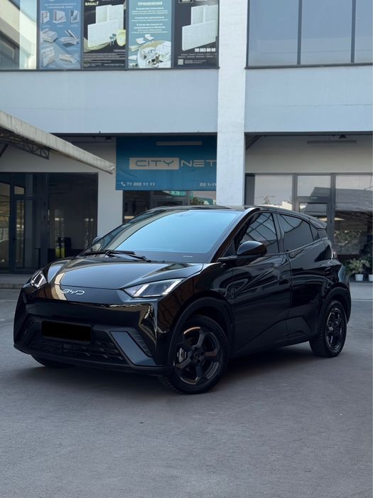 Byd seagull 2024 full