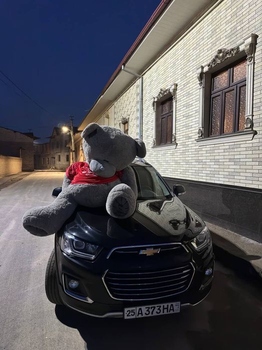 Teddi , Teddiy Teddiyla, Teddy