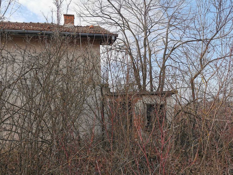 Продава се Земеделски имот в Лом -  кв.м за 2805 €/дка - Снимка #10