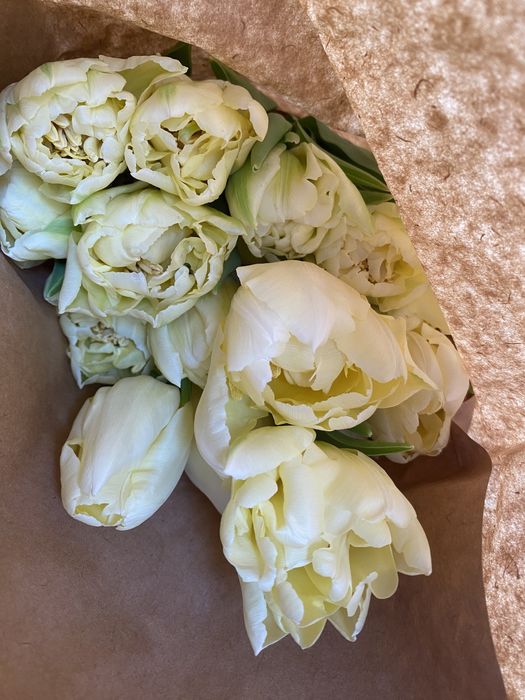 Тюльпаны из теплицы