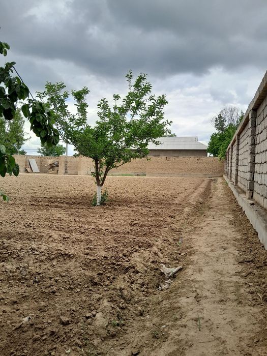 Quruq yer ( 8 sotox )sotiladi.