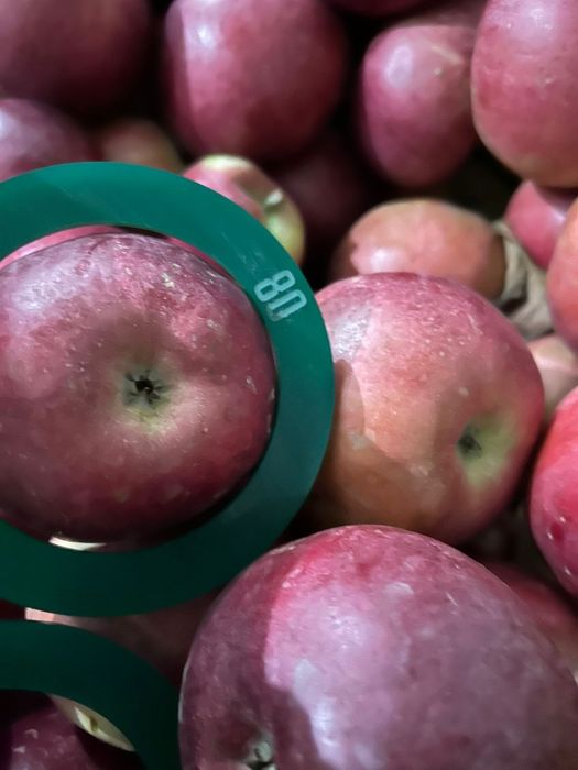 Mere idared golden prince red cif