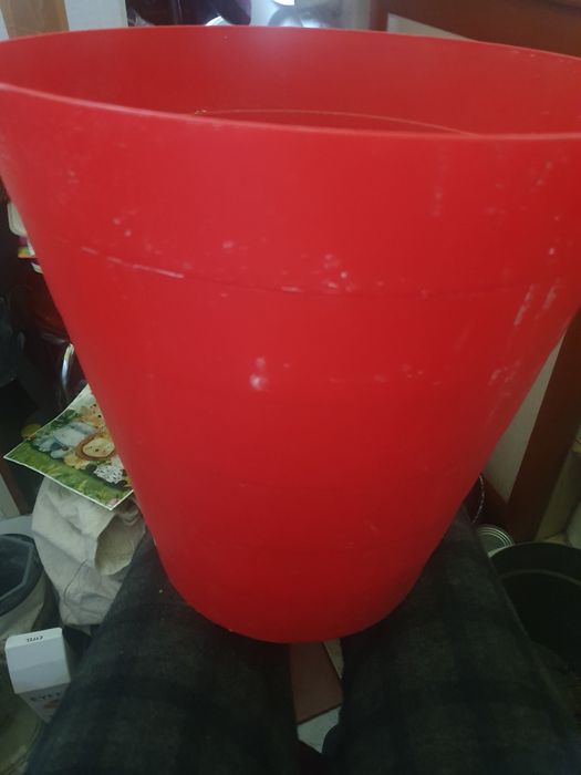 Ghivece de flori mai mari si un cos plastic pentru gunoi