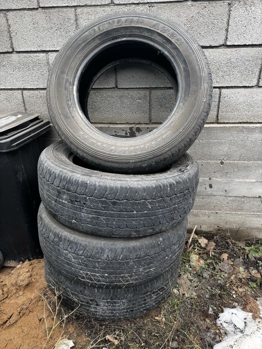 Шины dunlop at20