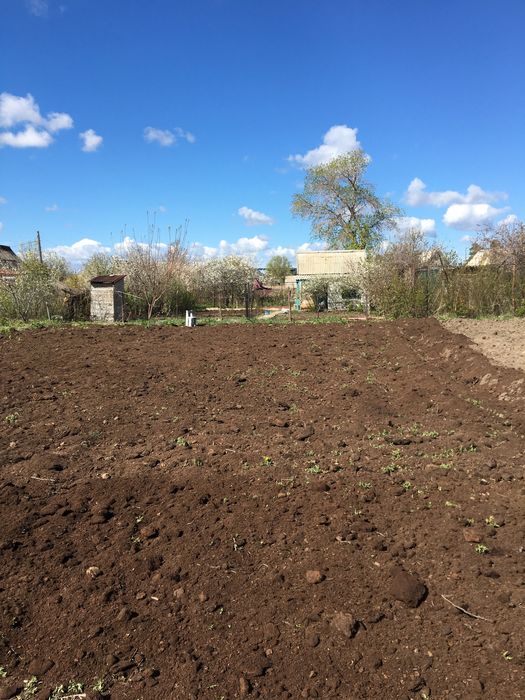 Дача 2 коллективе