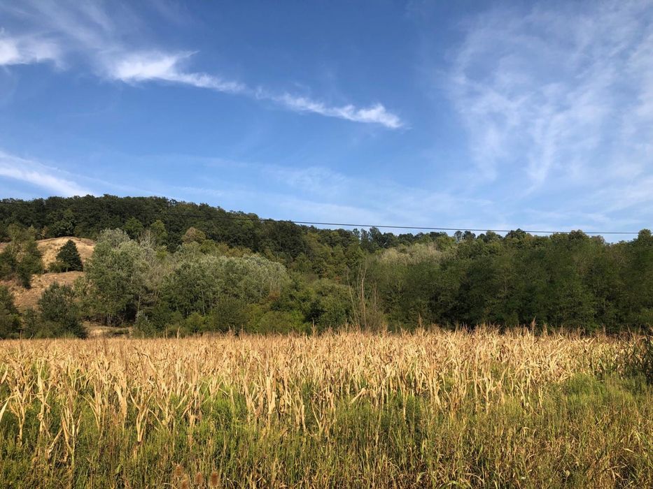 Teren 30.000 mp superb cu proiect pt fonduri PTJ