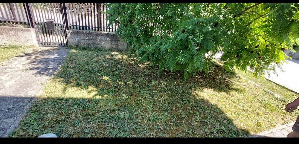 Ofer serviciu de tuns gazon