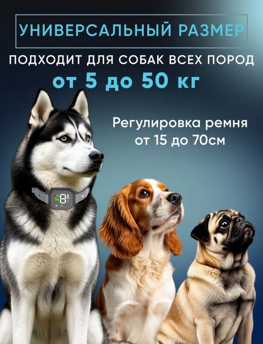 Ошейник для собак АНТИЛАЙ