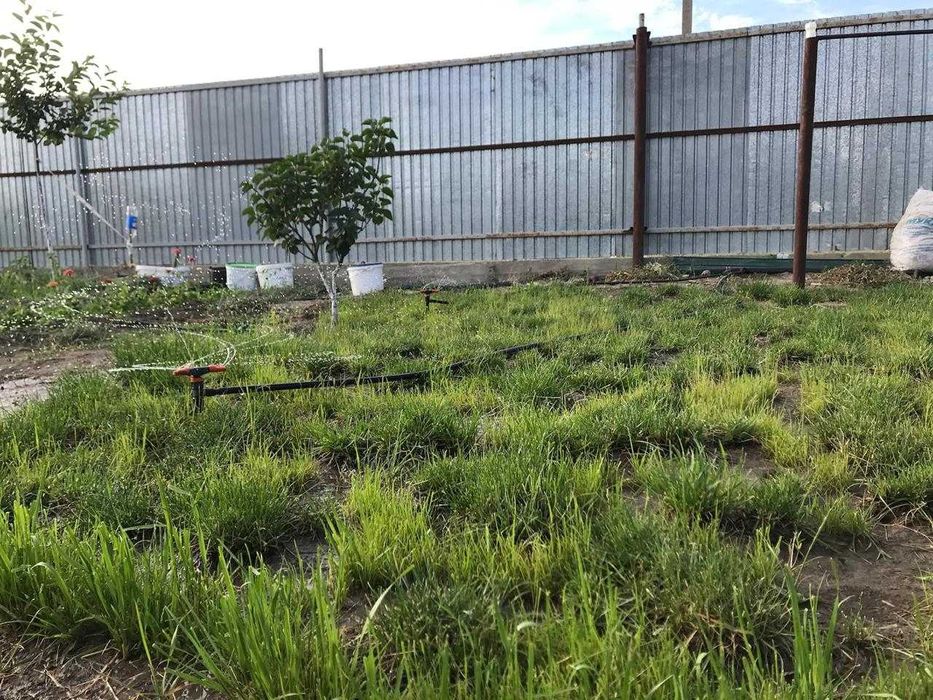 Продается дача (11 соток)