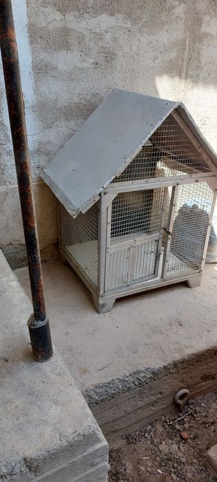 Клетка для птиц,  для попугаев,  недорого